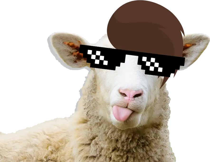 Cool Sheep with Sunglasses