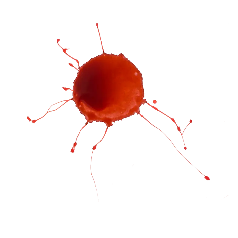 Illustration of Red Blood Cell with Extensions