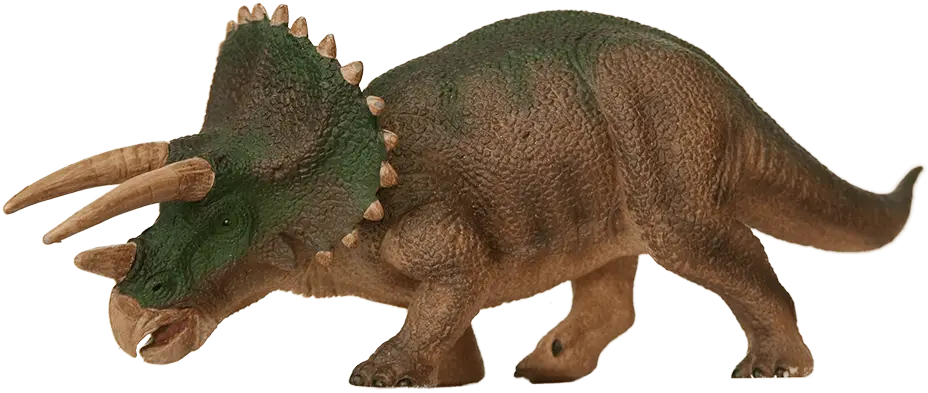 Realistic Triceratops Dinosaur Model