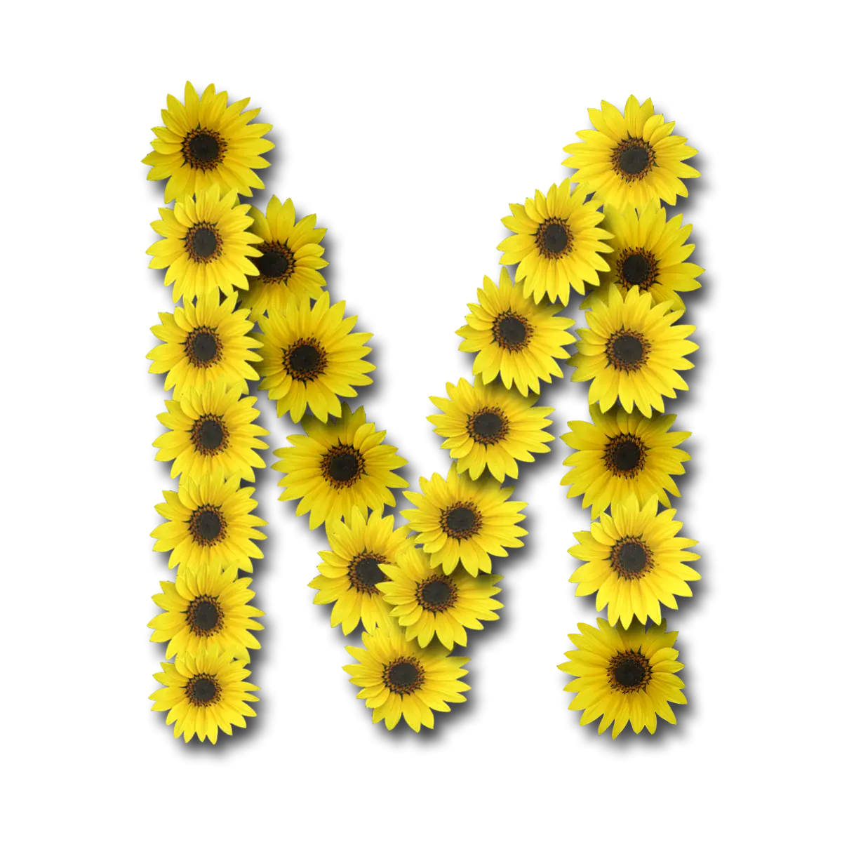Sunflower Letter M