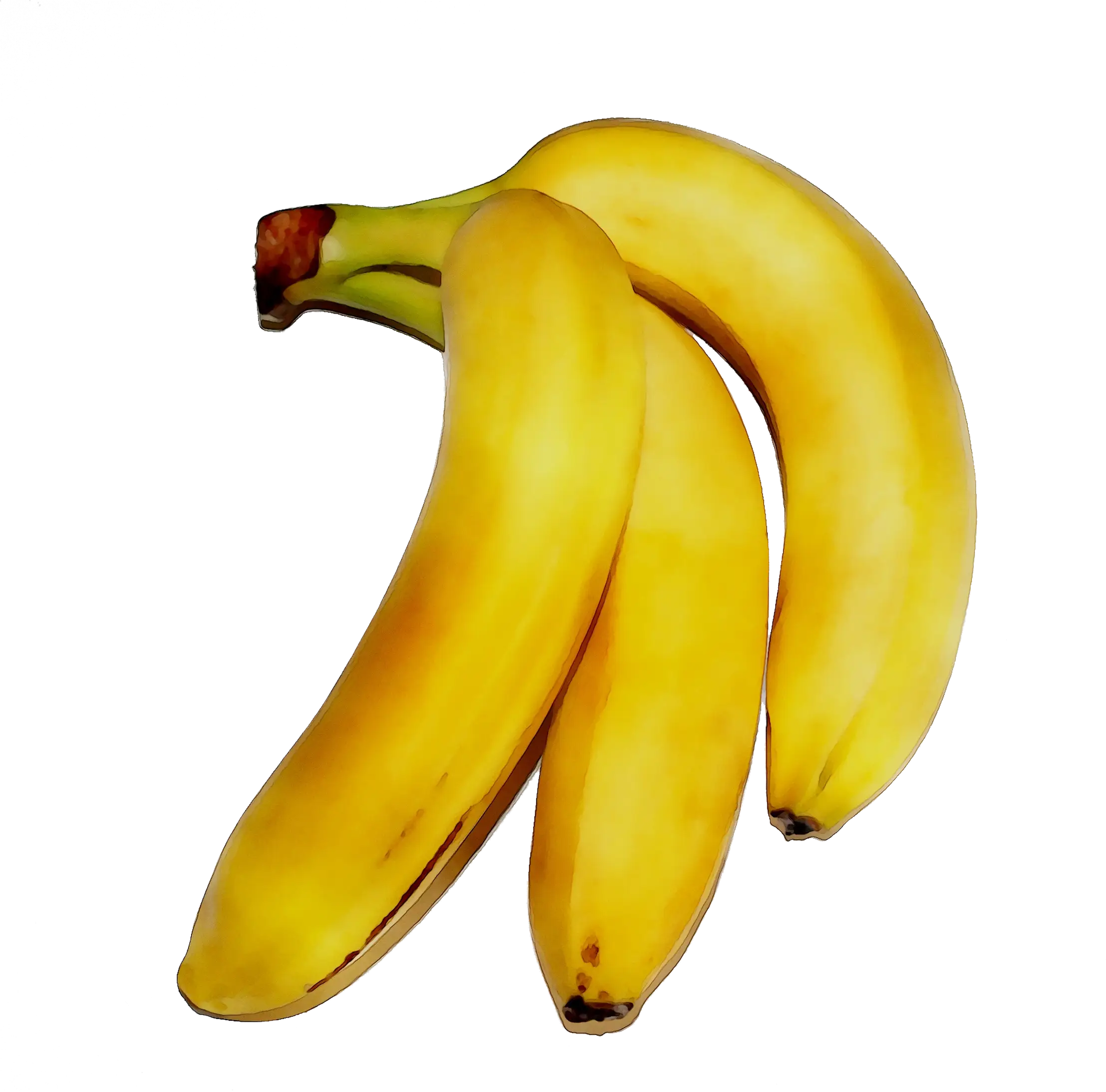 Bunch of Fresh Yellow Bananas