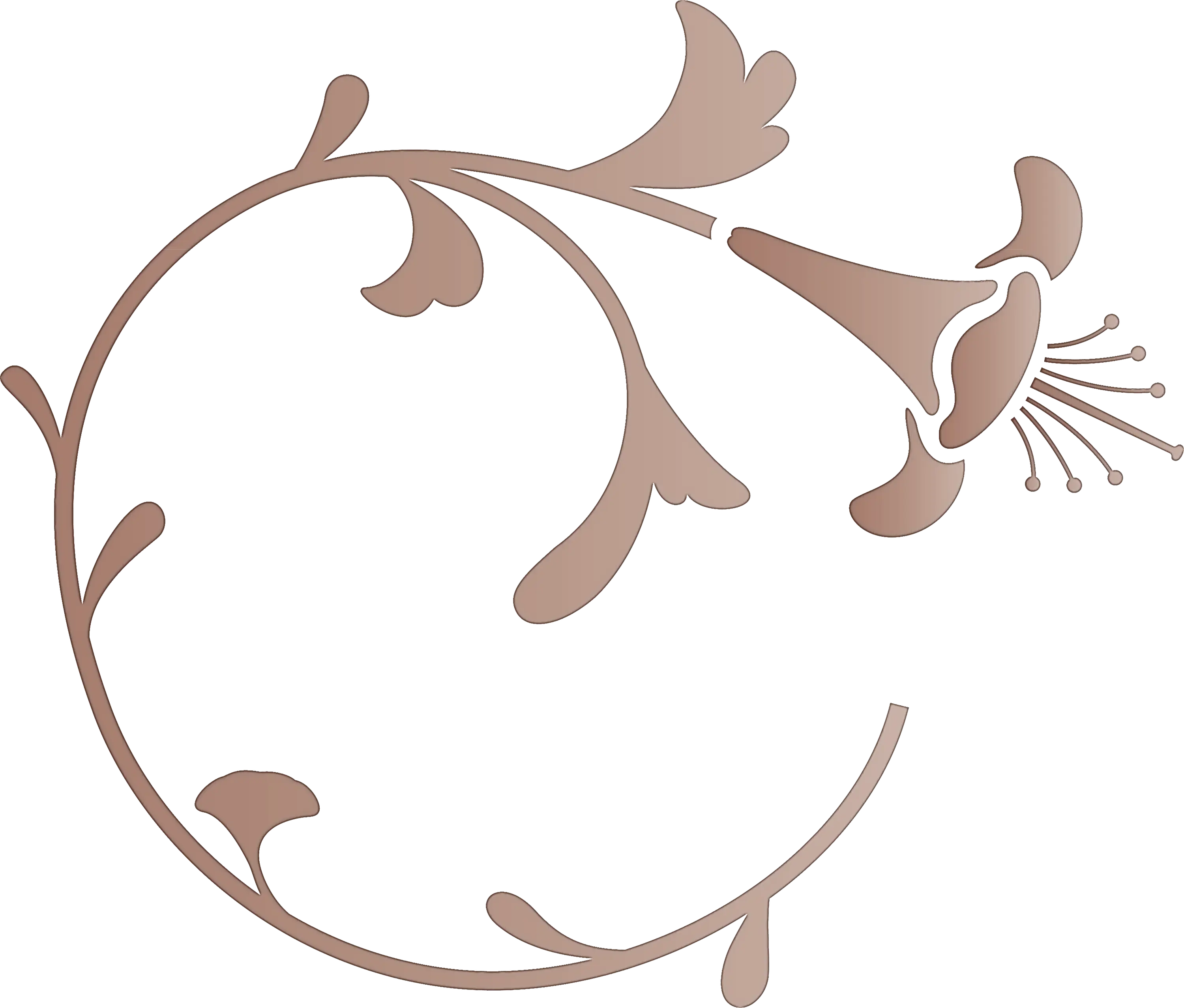 Brown Floral Circle Graphic Design