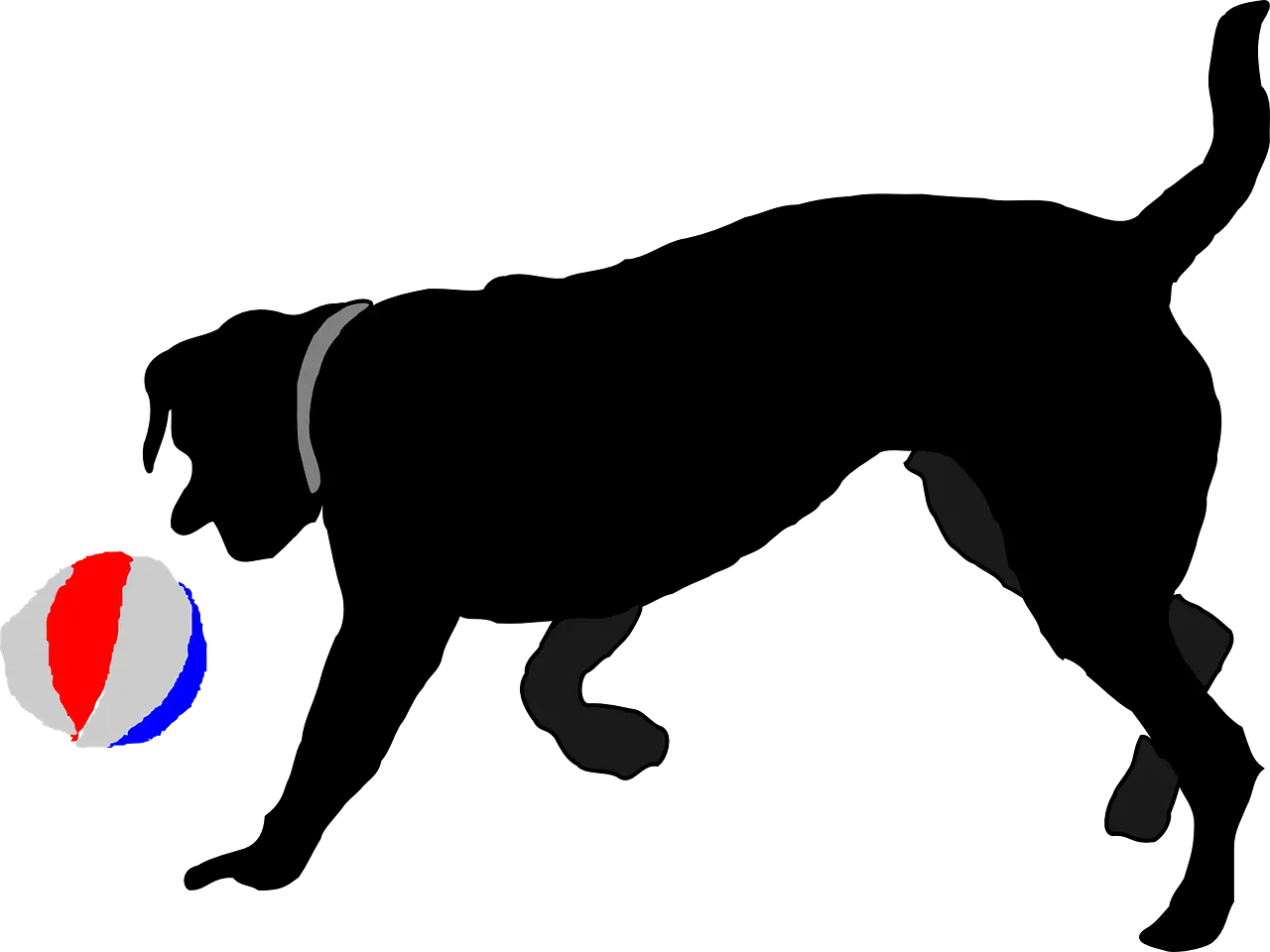 Silhouette of a Dog Playing with a Ball
