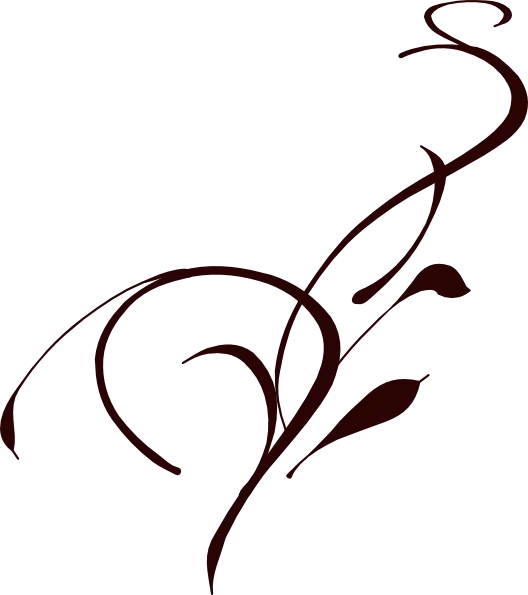 Elegant Decorative Flourish Illustration