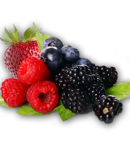 Assorted Fresh Mixed Berries