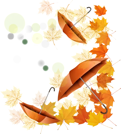 Autumn Umbrellas and Leaves