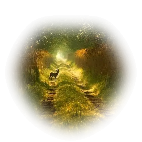 Serene Forest Path with Deer