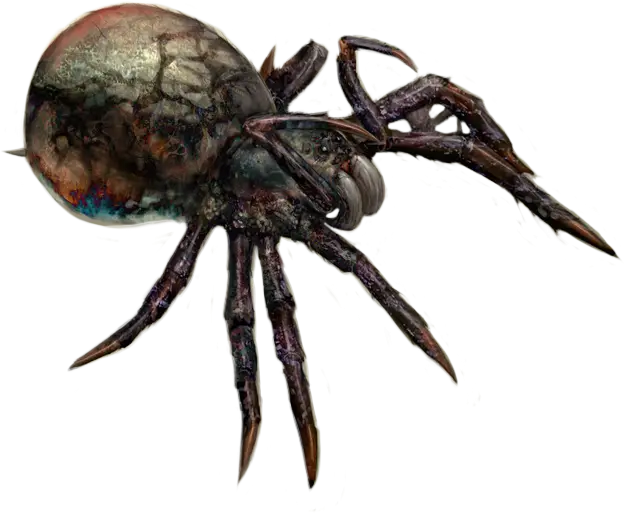Realistic Spider for Halloween Theme