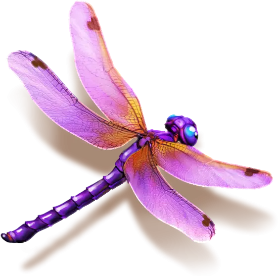Purple Dragonfly Illustration