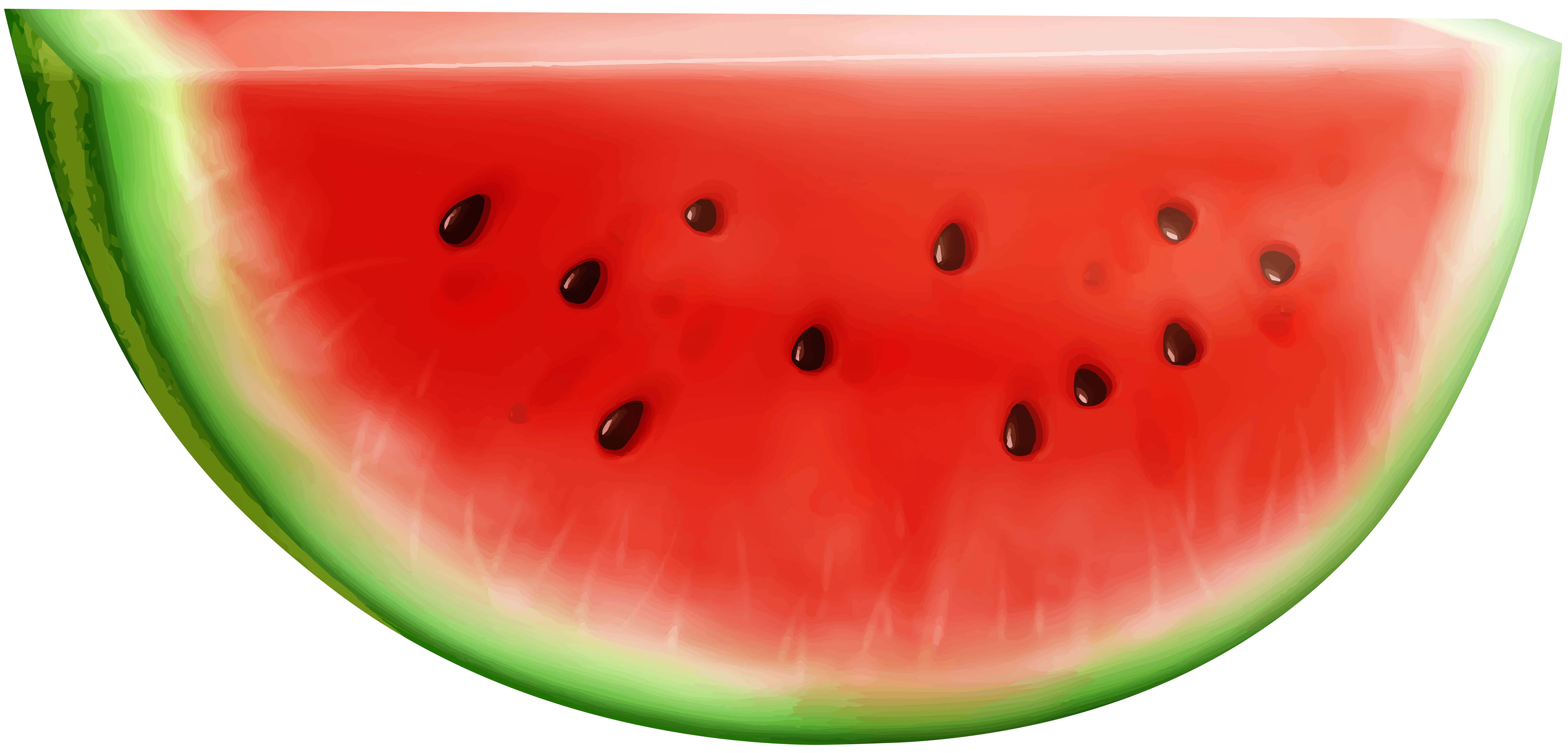 Watermelon Slice with Seeds