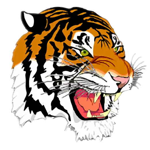 Fierce Tiger Head Illustration