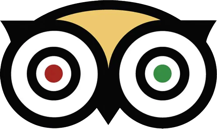 Stylized Owl Logo Icon Design