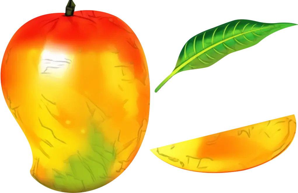 Bright Illustration of Mango with Slice