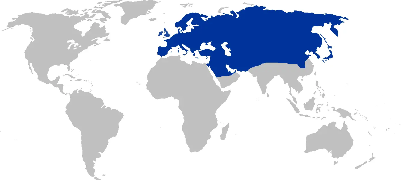 Eurasia Region World Map