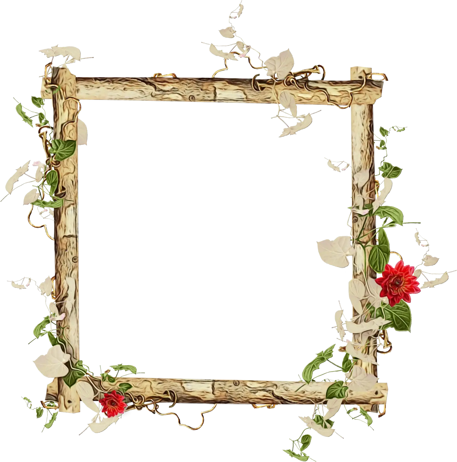 Decorative Nature-Inspired Frame Design