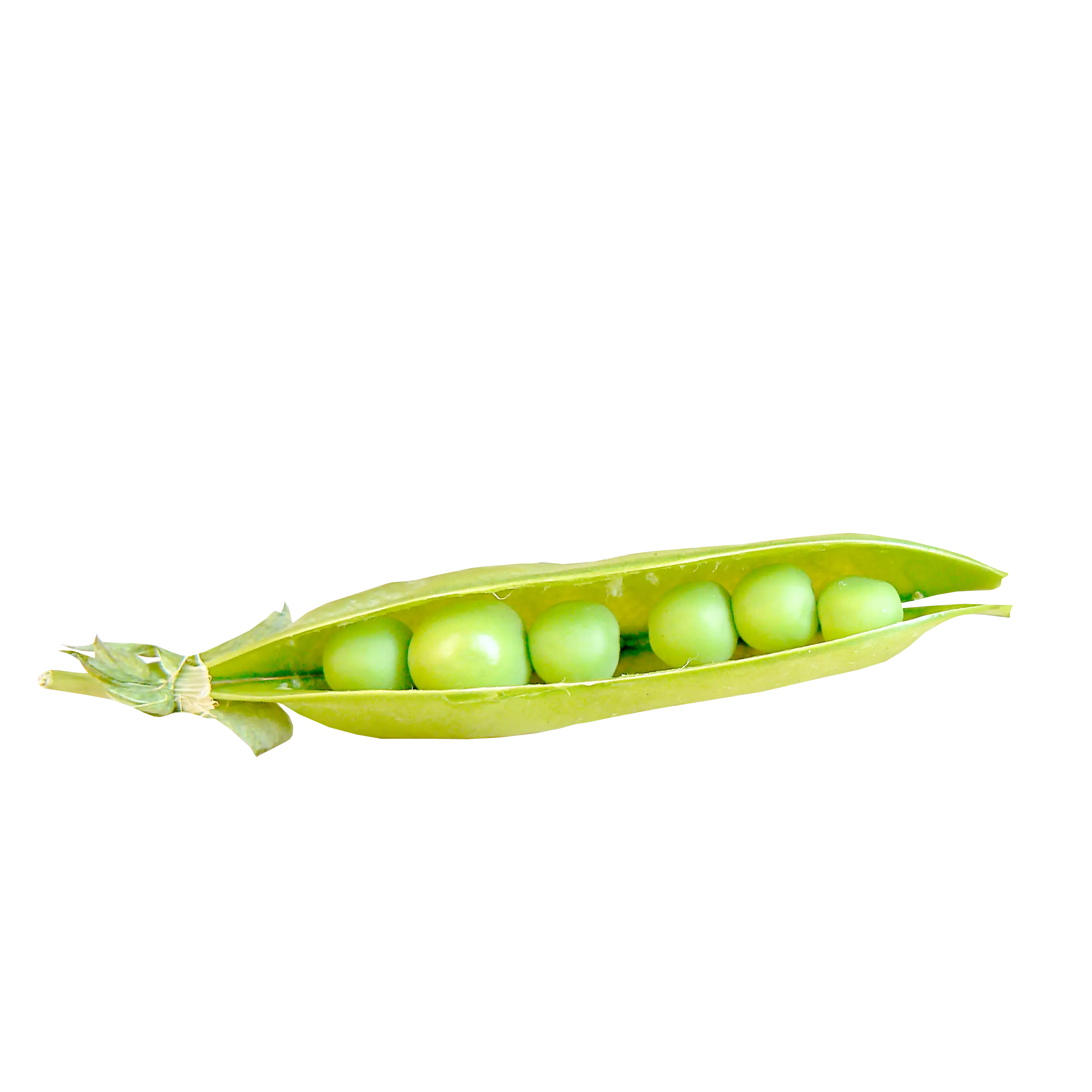 Green Peas in Pod