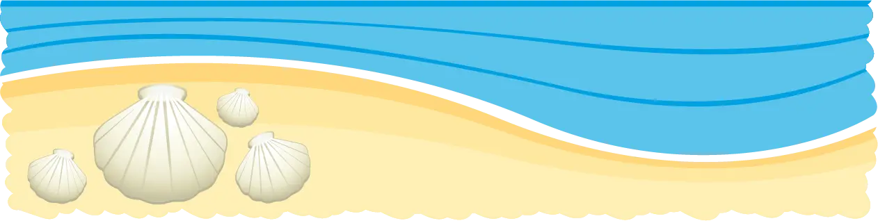 Beach scenery with shells