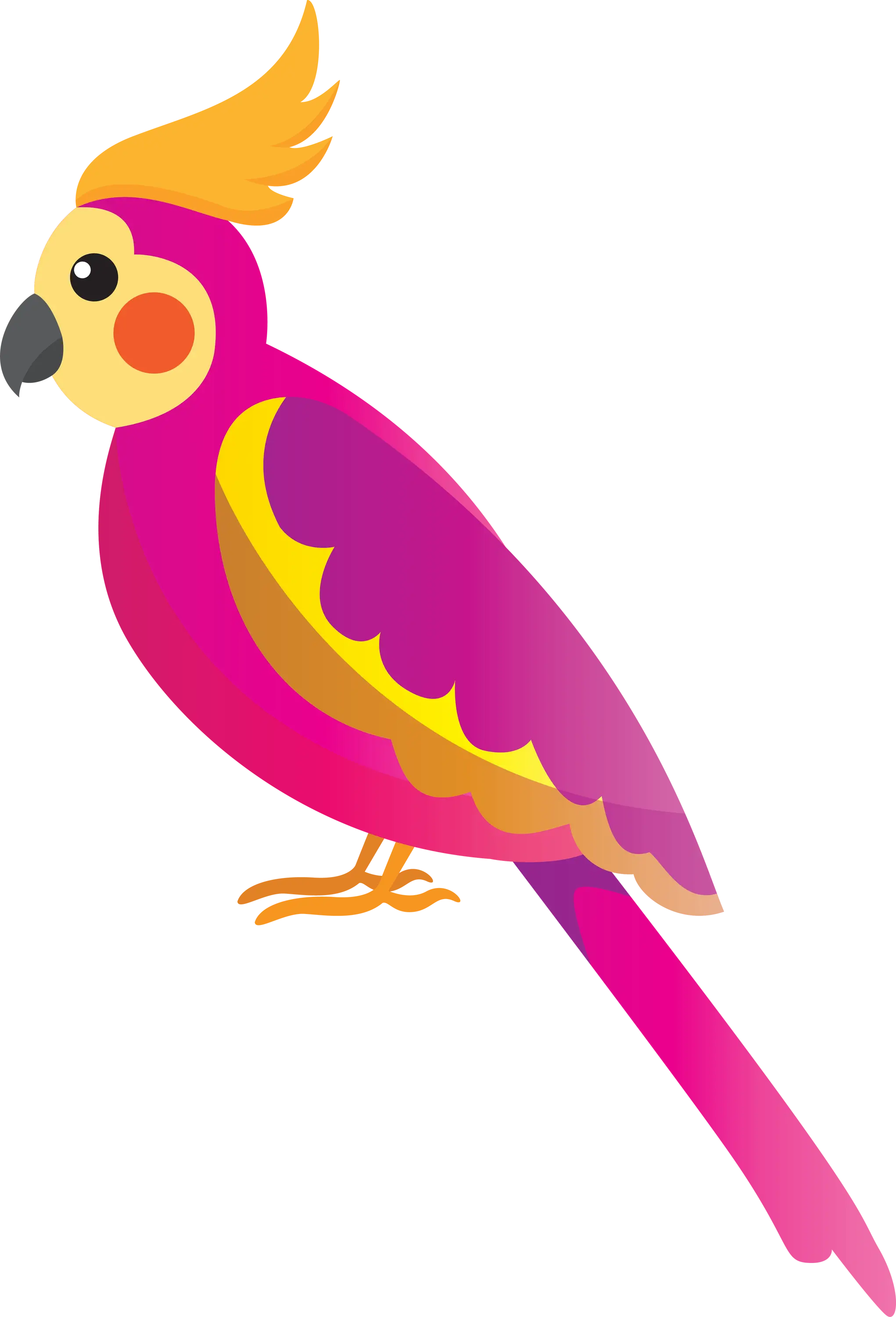 Colorful Parrot Illustration for Tropical Themes