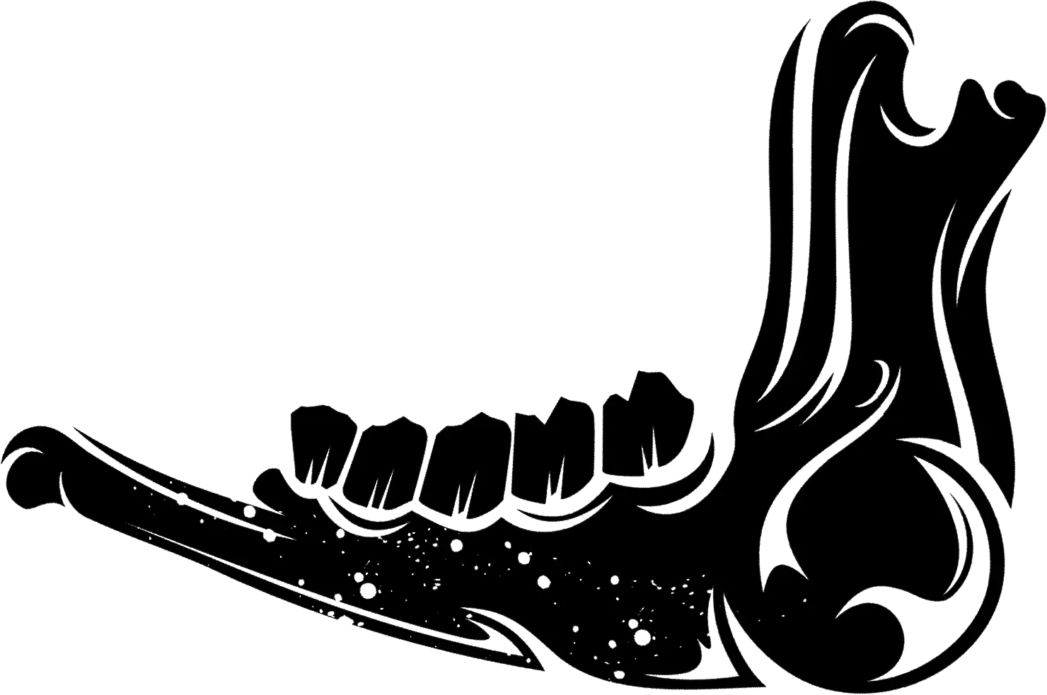 Detailed Jawbone Illustration