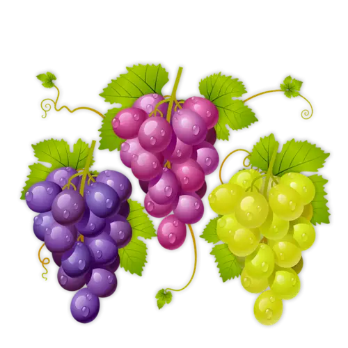 Colorful Grapes with Leaves Illustration