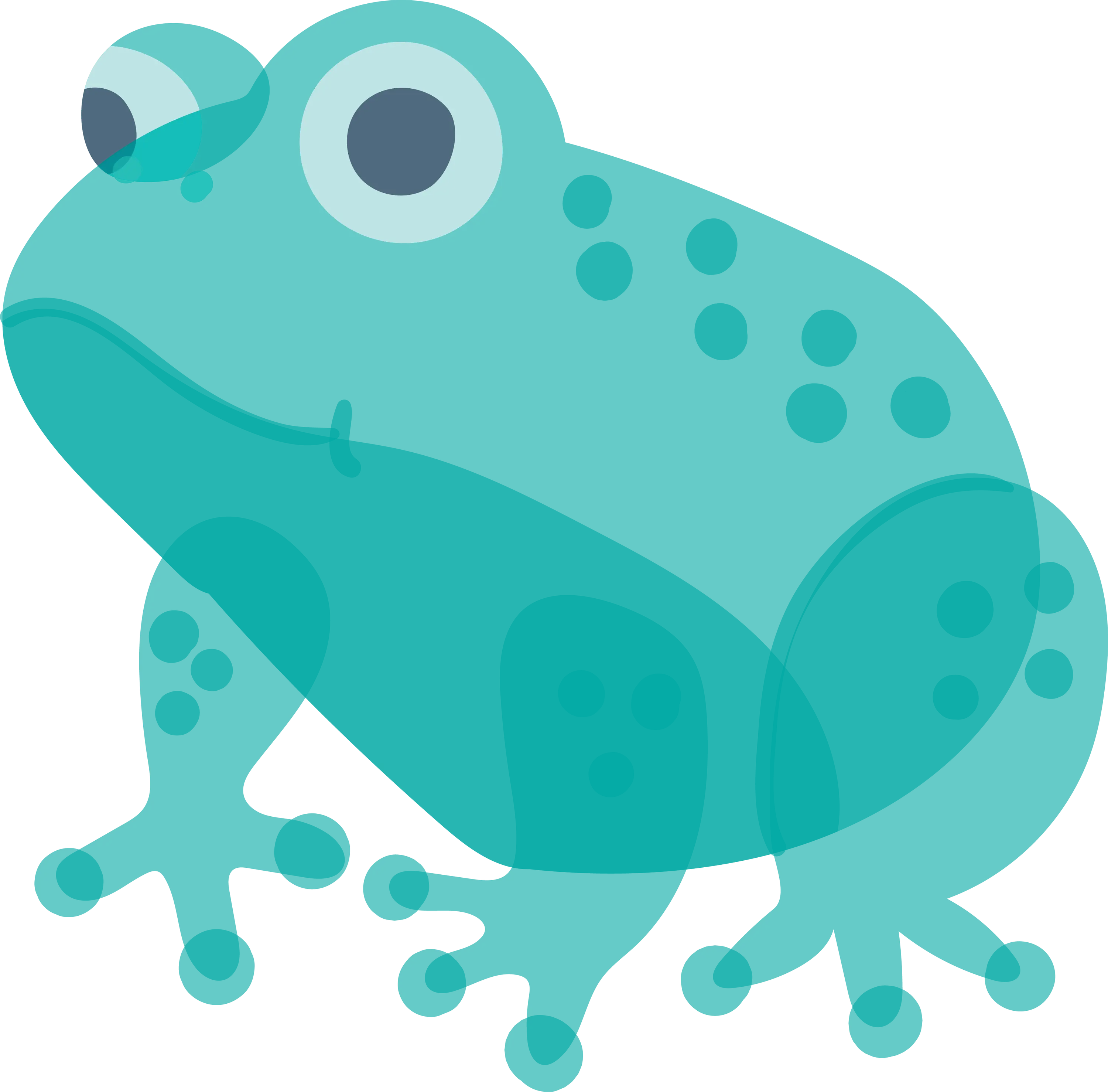 Teal Cartoon Frog Illustration