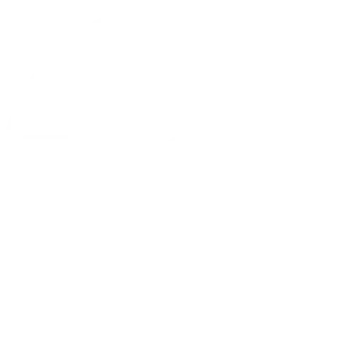 Transparent Circular Emblem Design