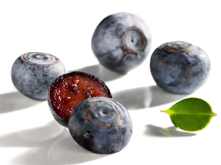 Fresh Juicy Blueberries