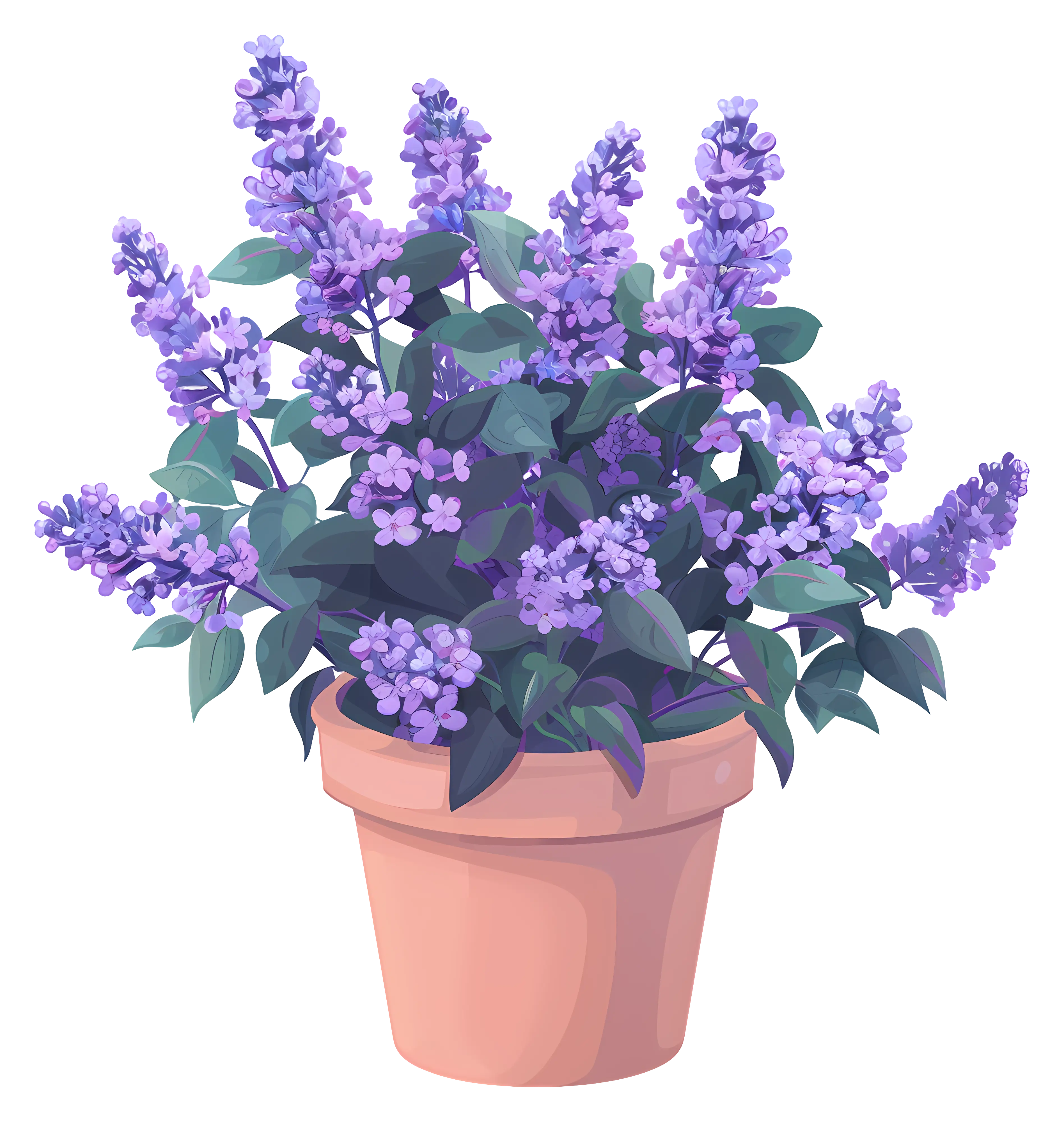 Beautiful Purple Flowers in a Pot