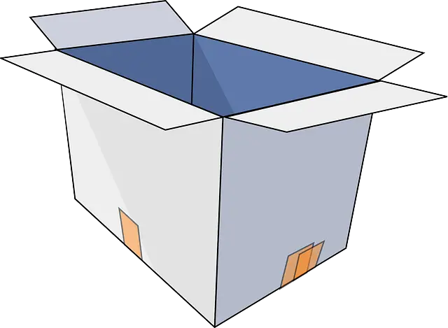 Open Cardboard Box