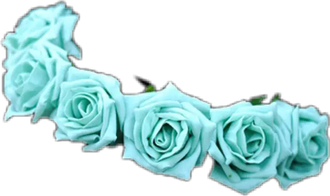 Blue Roses