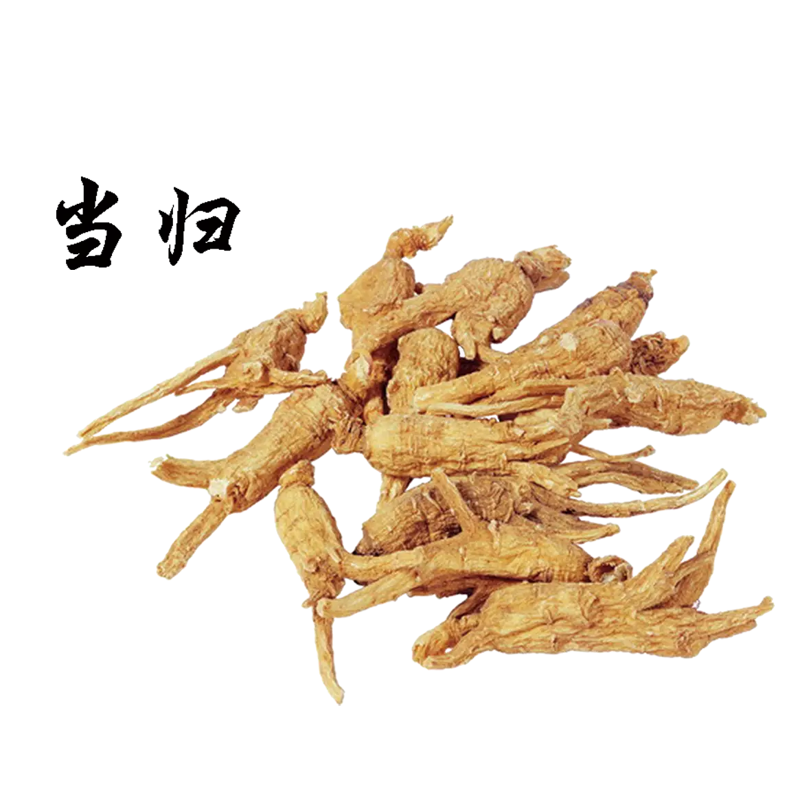 Dried Herbs for Traditional Medicine
