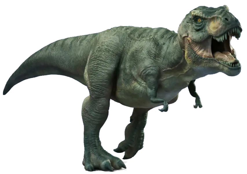 Realistic Tyrannosaurus Rex Dinosaur Model