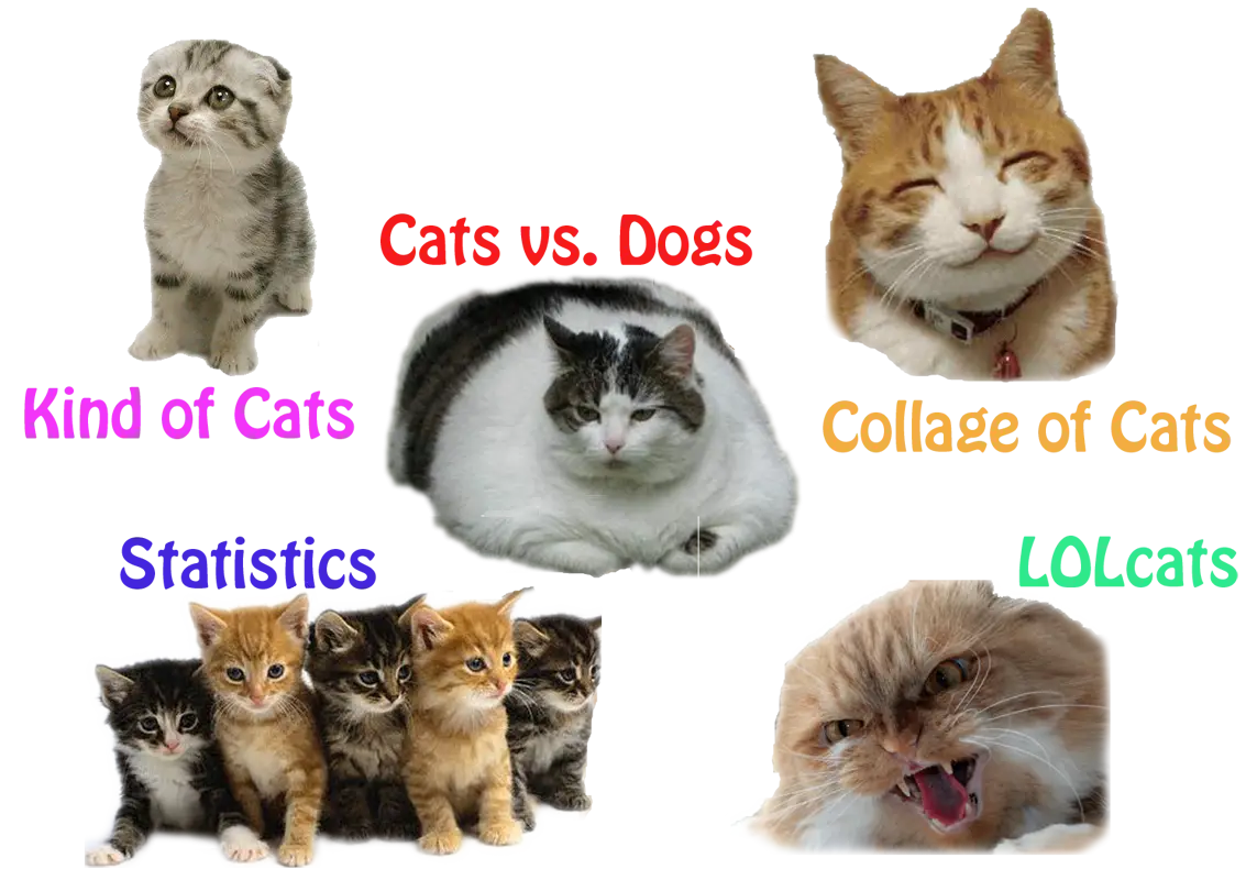 Collage of Cats and Kittens