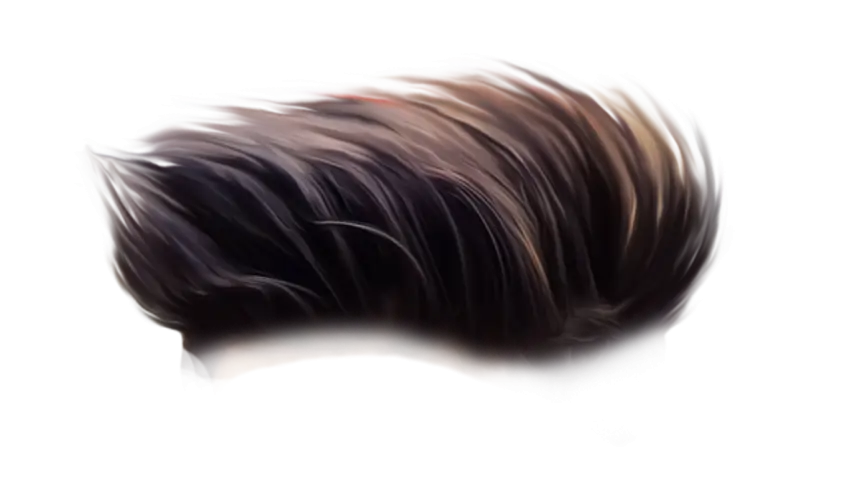 Stylized Illustration of Male Hair