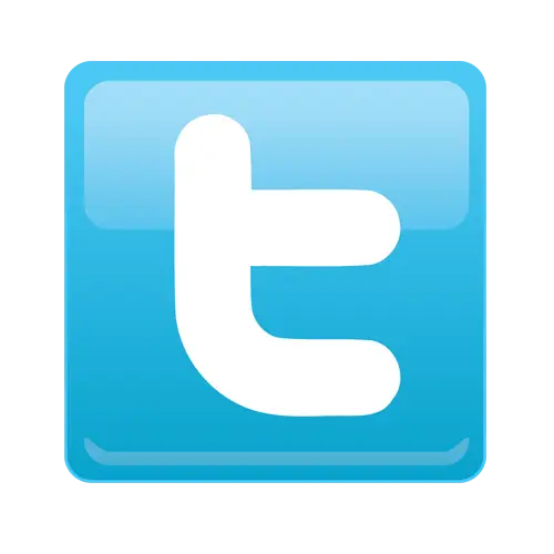 Blue Twitter Logo for Online Platform