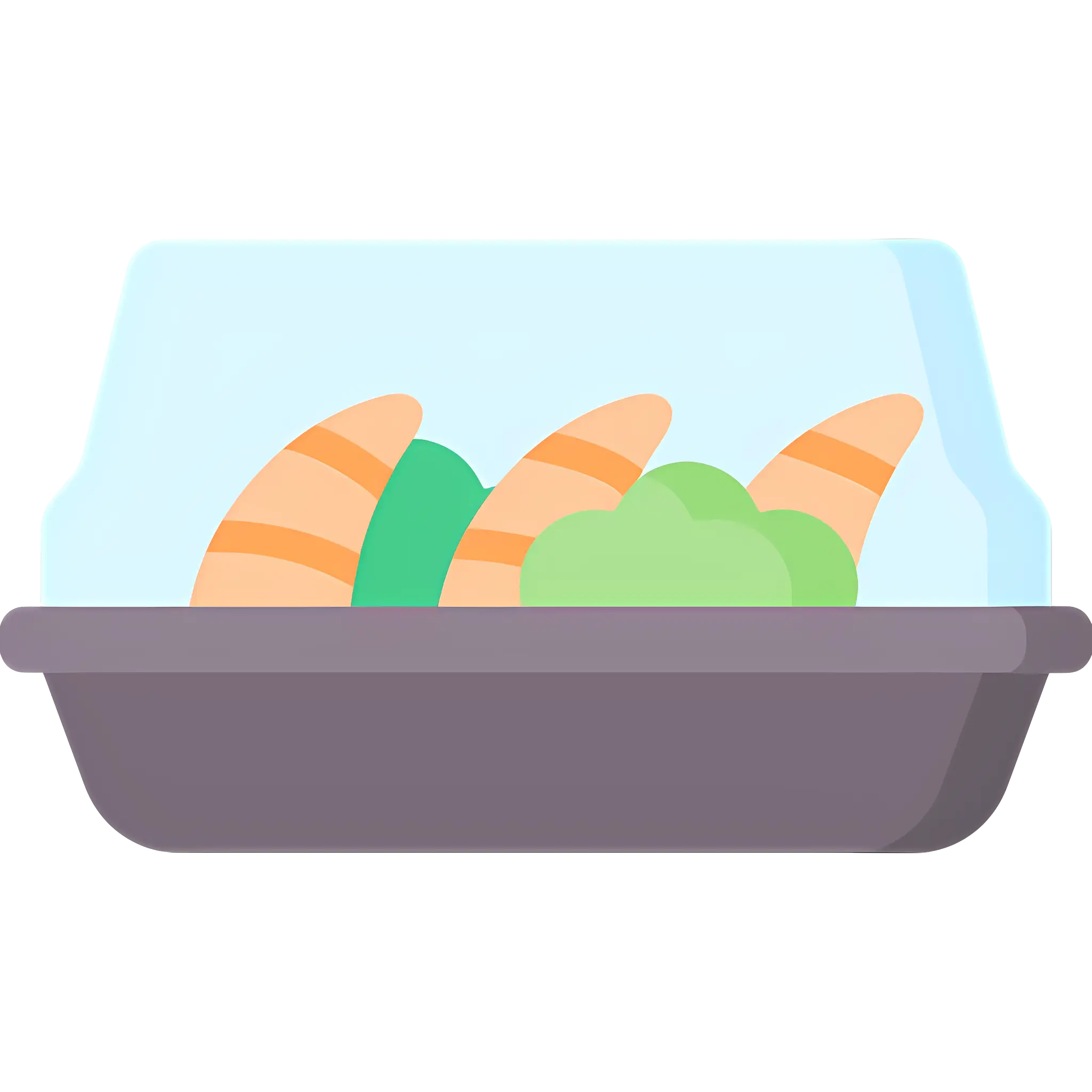 Sushi Tray with Cover Illustration