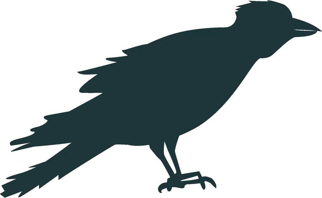 Black Raven Silhouette for Halloween