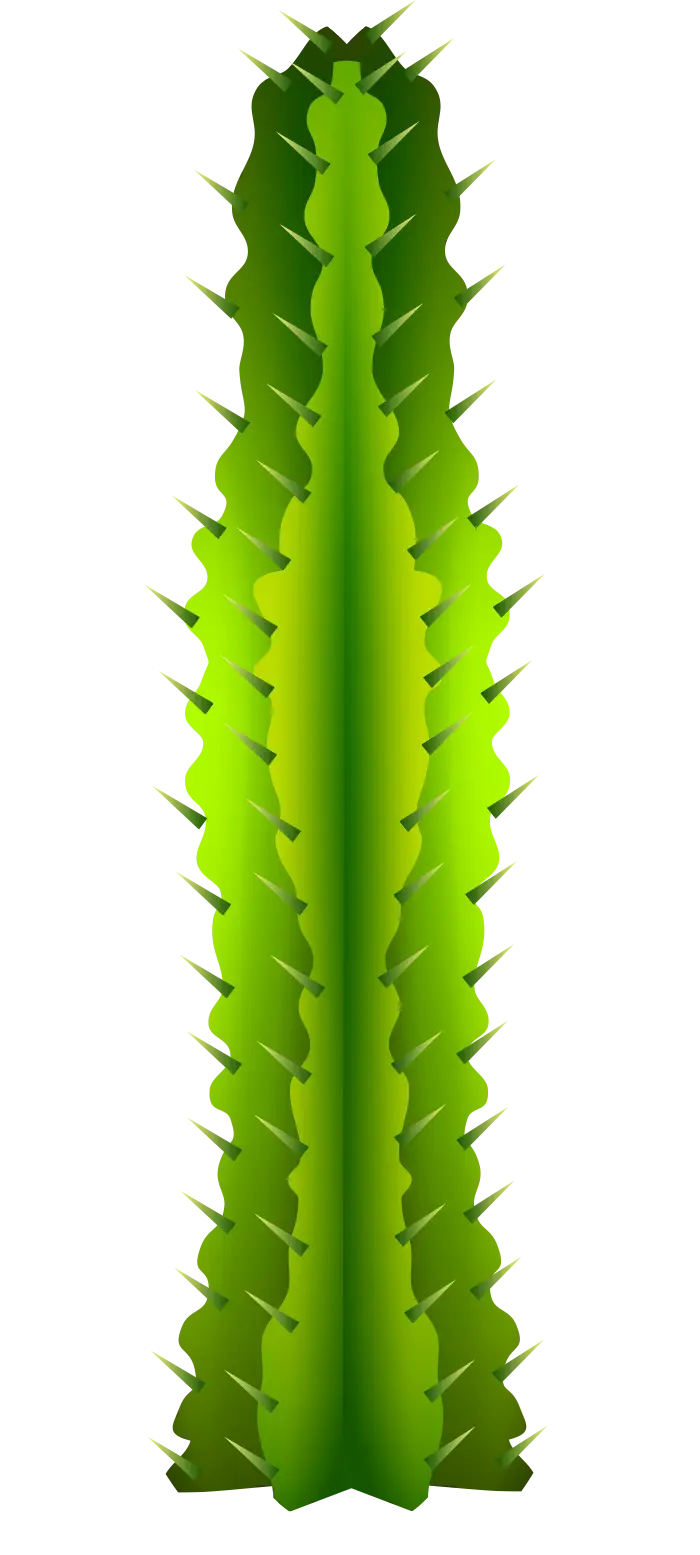 Tall Green Cactus