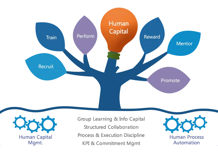 Human Capital Management Concept Diagram