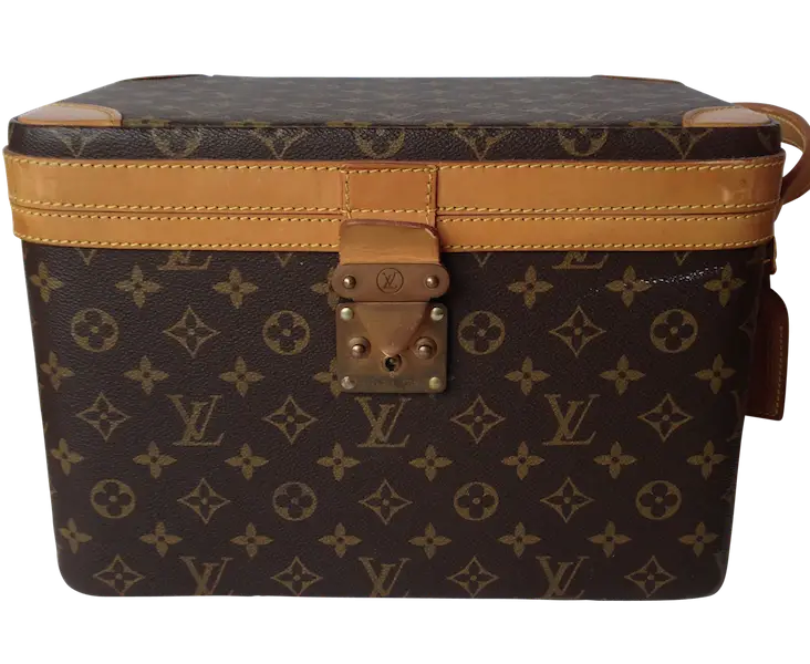 Elegant Louis Vuitton Designer Handbag