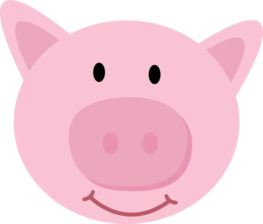 Smiling Cartoon Pig Face