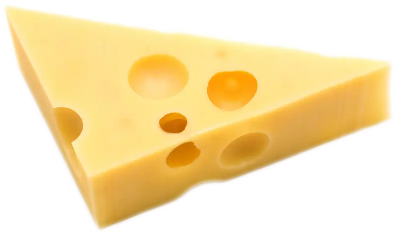 Cheese Slice with Holes