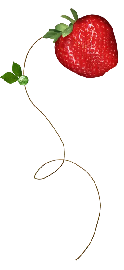 Illustration of a Hanging Strawberry Design