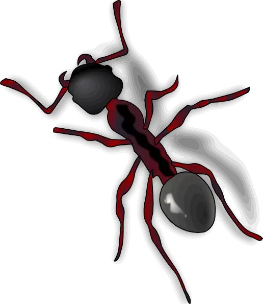 Cartoon Red-Black Ant with Shadow