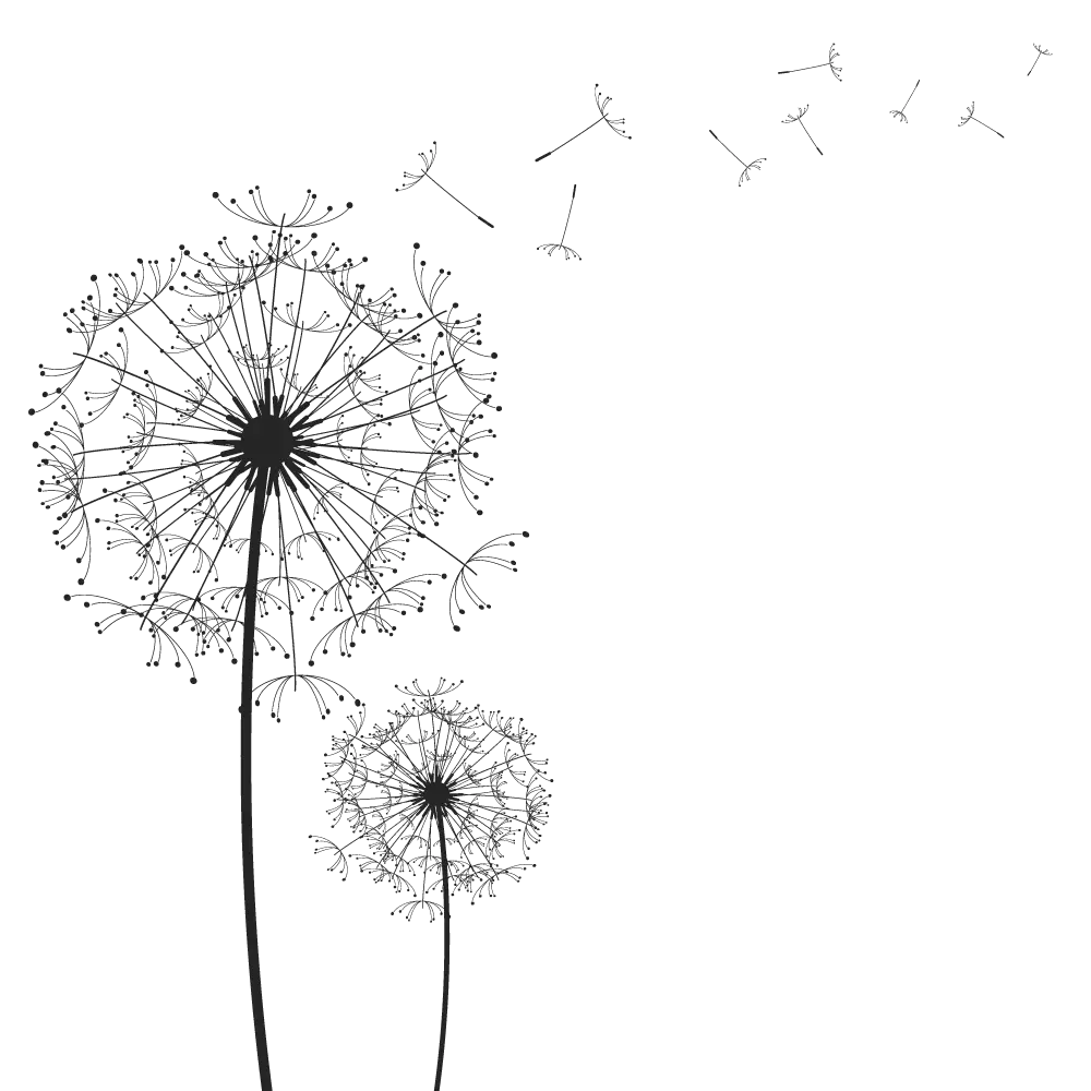Dandelion Illustration with Flying Seeds