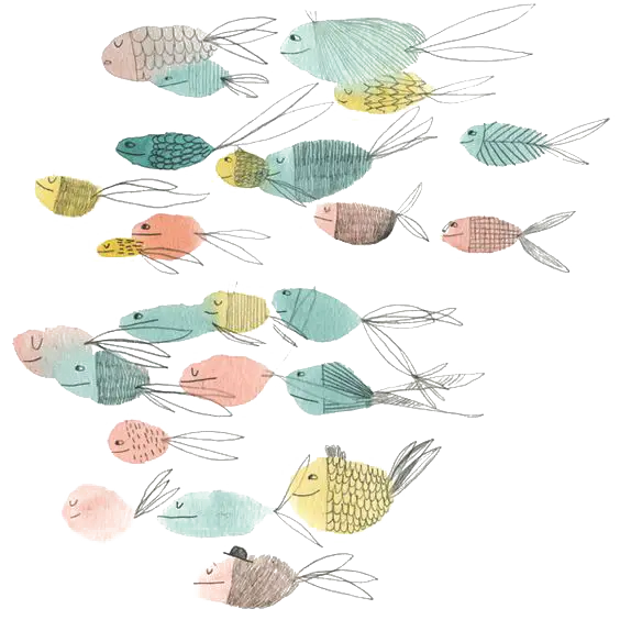 Colorful School of Fish