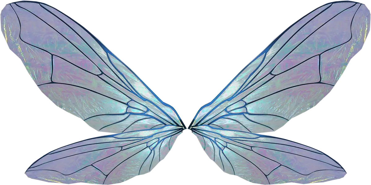 Delicate Fairy Wings