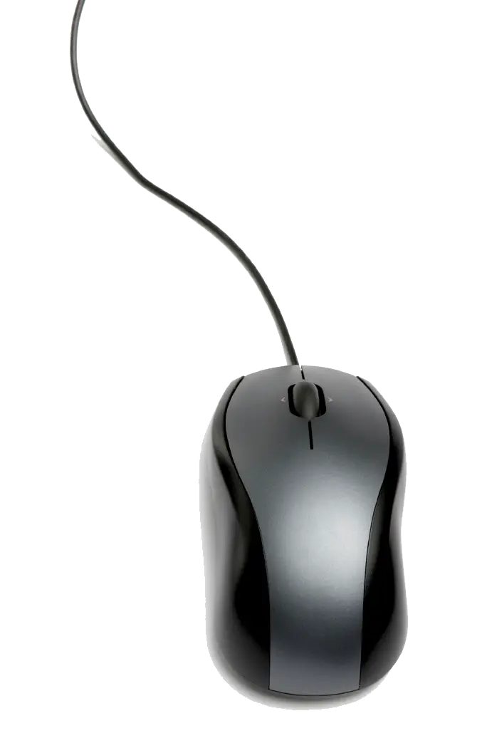 Wired Computer Mouse for PC