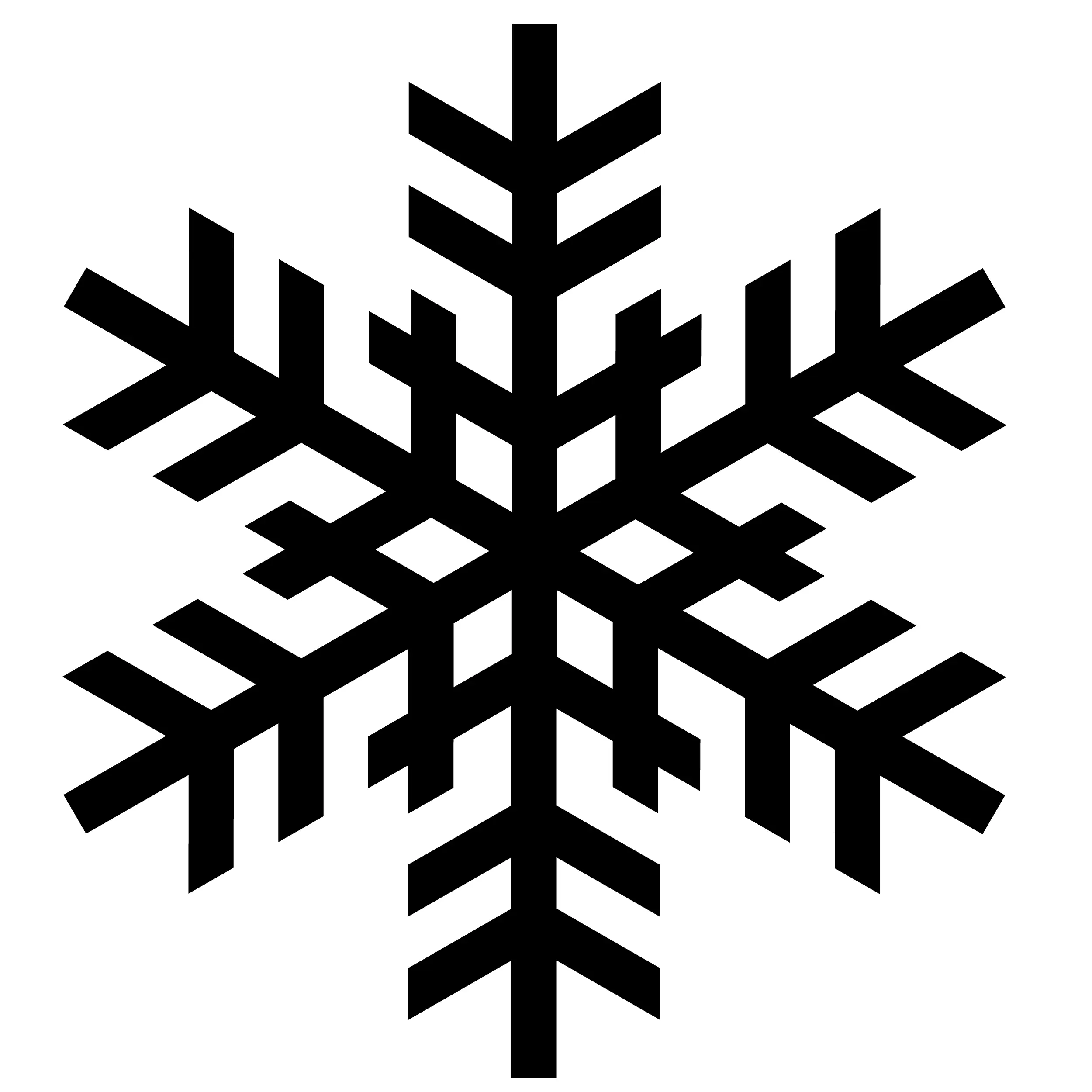 Black Snowflake Icon