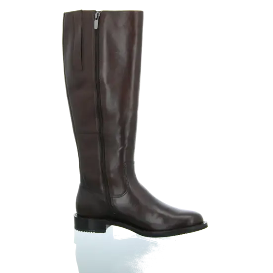 Brown Leather Tall Boot